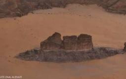 صورة السمكة التى التقطها المصور السعودي.jpg