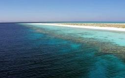 البحر الاحمر