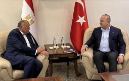 جانب من لقاء وزير الخارجية التركي مع نظيره المصري