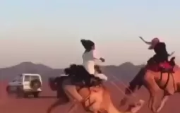 لحظة سقوط مؤلمة لجمل وصاحبه أثناء سباق في الصحراء
