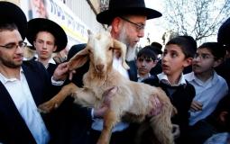 ذبح القرابين في الأقصى