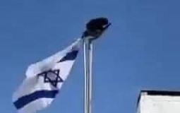 غراب يقوم بإنزال علم إسرائيل من على السارية