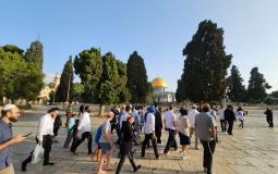 بدء اقتحامات الأقصى – تعرف على مسارات مسيرة الأعلام في القدس اليوم