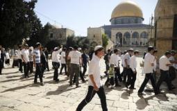 مستوطنون يقتحمون المسجد الأقصى بحماية من قوات الاحتلال