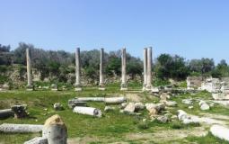 حديقة سبسطية الأثرية