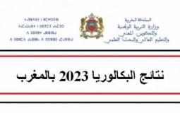 رابط نتائج البكالوريا 2023 في المغرب
