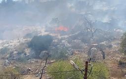 أحرق مستوطنون، اليوم الأحد 25يونيو/2023، محاصيل زراعية على مساحة 6 دونمات، في قرية ترمسعيا شمال رام الله.