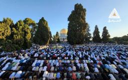 أداء صلاة عيد الأضحى 2023 في رحاب المسجد الأقصى