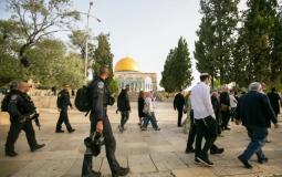 مستوطنون يقتحمون المسجد الأقصى بحماية جنود الاحتلال
