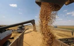 تركيا والأمم المتحدة تبحثان مع روسيا بشأن استئناف صفقة الحبوب