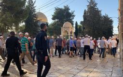 عشرات المستوطنون يقتحمون المسجد الأقصى بحماية مشددة