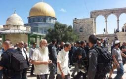 عشرات المستوطنين يقتحمون المسجد الأقصى تحت حراسة جنود الاحتلال