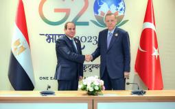 تفاصيل لقاء الرئيس المصري ونظيره التركي في نيودلهي