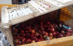 زراعة غزة تتلف 8 طن من الفاكهة
