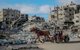 عربة كارو بالحصان مع أثار القصف والدمار في قطاع غزة