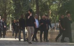 إيتمار بن غفير يقتحم المسجد الأقصى