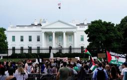 متظاهرون يرفعون أعلام فلسطين أمام البيت الأبيض - أرشيف