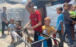 رهف فرج: طفولة مفقودة وصمود أمام قسوة الحياة في غزة