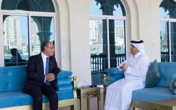 وزيرا خارجية مصر وقطر