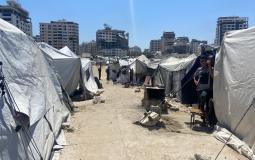 ميناء غزة: ملاذ النازحين في زمن الحرب