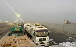 المساعدات المصرية