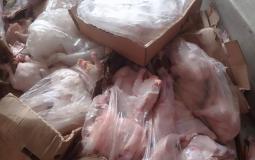 اتلاف 6 طن من الدجاج الفاسد وسط قطاع غزة