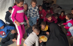 والدة 6 شهداء ترعى 36 حفيدا بغزة