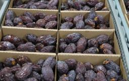 التمور الفلسطينية