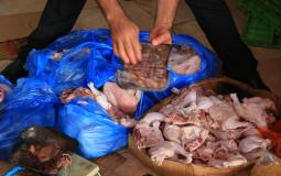 مباحث التموين في خان يونس تُتلف 2,500 كغم من المجمدات الفاسدة