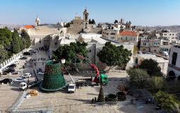 شجرة الميلاد في بيت لحم