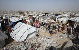 خطة أممية شاملة لمكافحة القوارض والحشرات في غزة قريباً