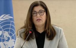 وزيرة الخارجية فارسين شاهين