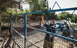 دعوات لإجلاء آلاف السكان في شمال إسرائيل