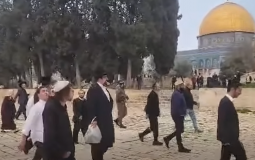 حماس تحذر من "حرب دينية" إثر اقتحامات المستوطنين للمسجد الأقصى