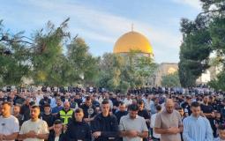 صلاة عيد الأضحى في المسجد الأقصى