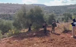 مستوطنون يهاجمون المزارعين في بيتا جنوب نابلس 