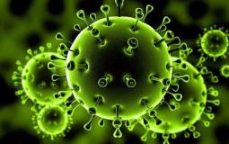 السلالة الجديدة من فيروس كورونا - توضيحية