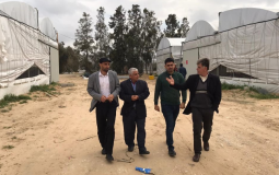 الزراعة بغزة تتفقد مزارع الحبش في المحررات لضمان الانتاج