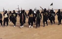 عناصر تنظيم داعش في سوريا