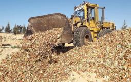 بصل فاسد في خانيونس جنوبي قطاع غزة