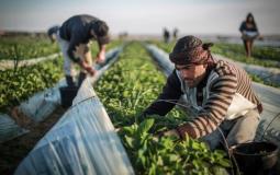 المزارعين الفلسطينيين - ارشيفية -