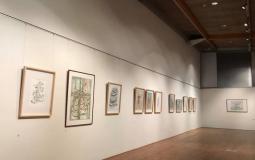 جانب من المعرض