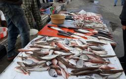 أسعار الاسماك الطازجة في أسواق غزة اليوم الأحد