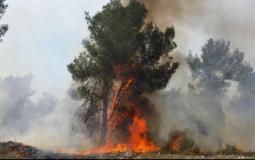 الاحتلال: الحرائق التي اندلعت في القدس متعمده