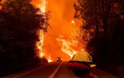 حرائق في كاليفورنيا