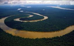 غابات الامازون