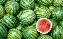 منع استيراد البطيخ من اسرائيل