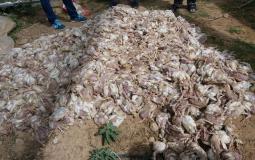 اضرار المرتفع الجوي في غزة