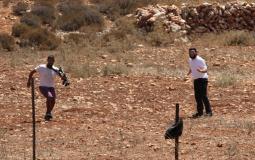مستوطنون يهاجمون الاراضي الزراعية الفلسطينية 