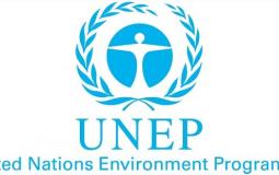 المنظمة الدولية لبرنامج الأمم المتحدة للبيئة